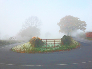 The Hairpin Bend on a Misty Morning