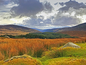 Fifty Shades of Nature, Wicklow Mountains