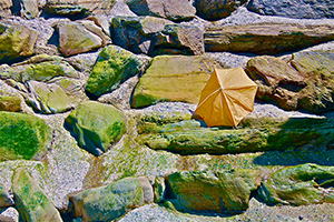Umbrella on Dunworley Rocks